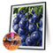 5D Diamond Painting DIY Grape Full Round Drill Mosaic Decoration (E1241)