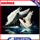 Full Round 5D DIY Diamond Painting Two Swans Embroidery Mosaic Cross Stitch