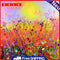 Color Flower Field Full Round Drill Drawing DIY 5D Diamond Painting Kit Craft