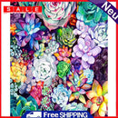Succulents 40x50cm Oil Paint By Numbers DIY Painting M682