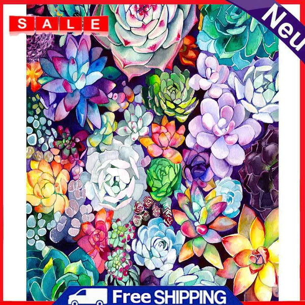 Succulents 40x50cm Oil Paint By Numbers DIY Painting M682