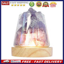 Room Air Purifier Salt Night Light USB Crystal Salt Rock Lamp Sleeping Light