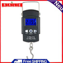 Maßgeschneiderter HANDGESCHMIEDETER DAMASKUS Stahl Jagd Skinner Fix Klinge Messer + Mantel B3-3273