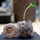 30mm Jiffy Peat Pellet Grain Starting Tray Plug Nutrient Soil Block (5pcs)