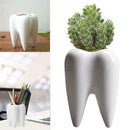Tooth Shaped Ceramic Flower Pot Planter Plant Holder 7Y6R Succulen Flower Y0N9