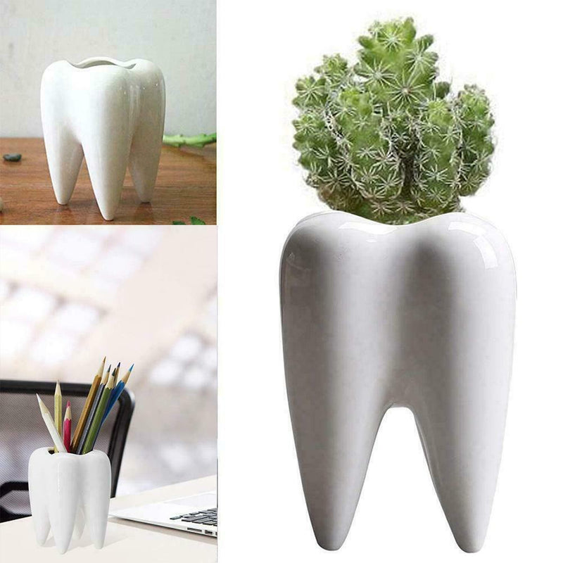 Tooth Shaped Ceramic Flower Pot Planter Plant Holder 7Y6R Succulen Flower Y0N9