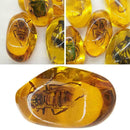 Beautiful Amber Hornet Fossil Insects Manual Polishing Decor O8N5