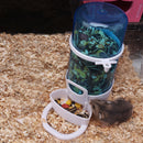 Small Pet Guinea Pig Food Dish Bowl Squirrel Automatic Feeder (Blue) Newly