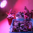 Full spectrum Grow light 18W LED Grow lamp bulb for Flower plant E27
