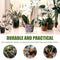5x Orchid Planting Pots Transparent Seedling Garden Flower Pot (with Base) Newly
