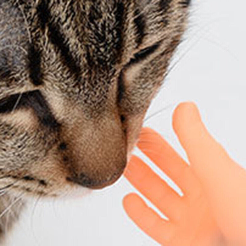 Funny Creative Mini Finger Hands Cat Massage Interactive Kitten Pet Play To