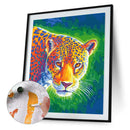 Color Oil Painting By Numbers Kits Handmade Canvas DIY Art Picture Modern Dec