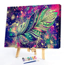 Oil Paint By Numbers Picture DIY Painting Colorful Feathers Drawing on Canvas