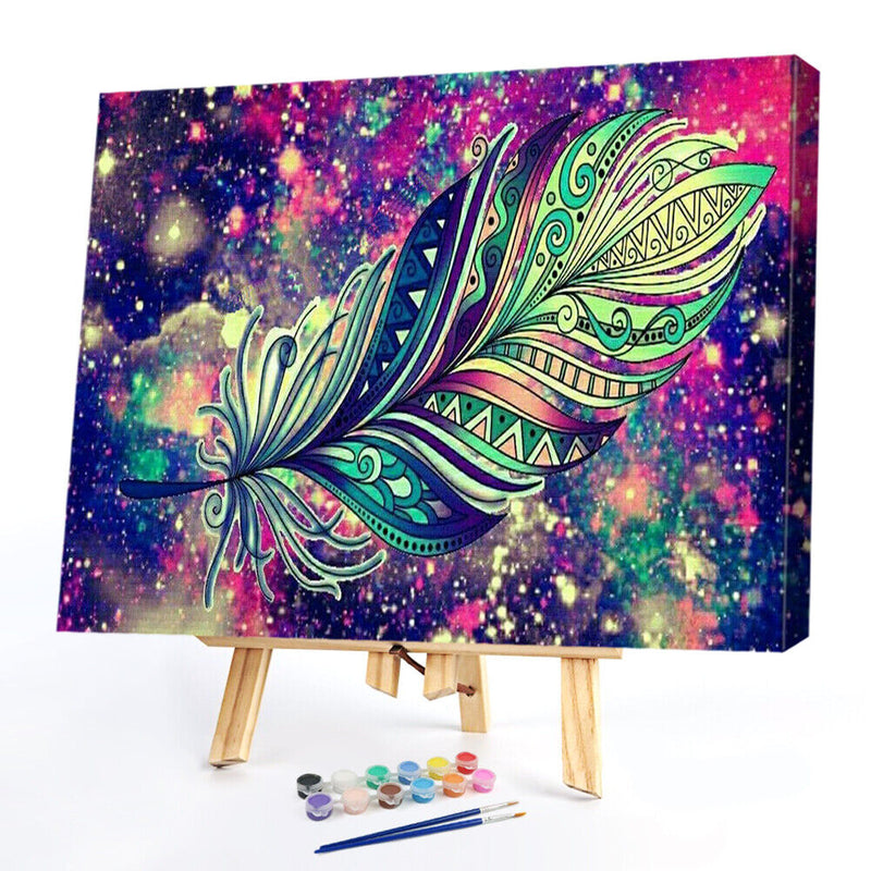 Oil Paint By Numbers Picture DIY Painting Colorful Feathers Drawing on Canvas