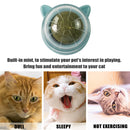 Catnip Ball Cat Toys Licking Teeth Chewing Pet Training Bite Balls (Grey)