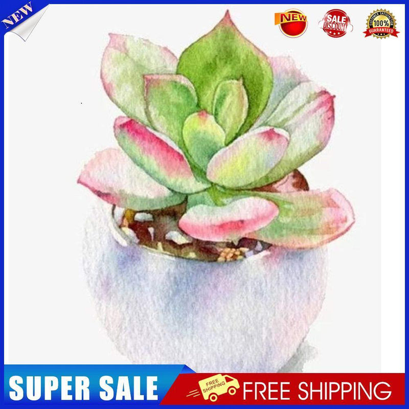 5D Diamond Painting Succulent Plant DIY Full Drill Cross Stitch Decor (376)