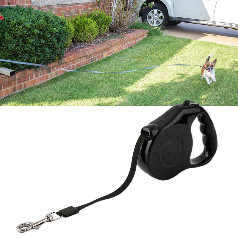 Pet Dog Cat Puppy Automatic Retractable Traction Rope Walking Lead Leash Newly