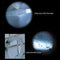 100X Pocket LED Microscope Lamp Light Jewelry Magnifier with Leather Case