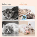 Octopus Shape Nibble Interactive Rotatable Catnip Balls Interactive Cat Mint
