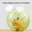 Solid Rodent Jogging Ball Gerbil Hamster Fitness Portable Rolling Ball Play T