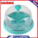 6 Slots Watch Dust Sheet Cover with Tray Watch Movement Watchmaker Repair Tool J