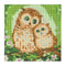 Full Drill Two Owls 5D Diamond DIY Painting Craft Kit Home Decor Newly