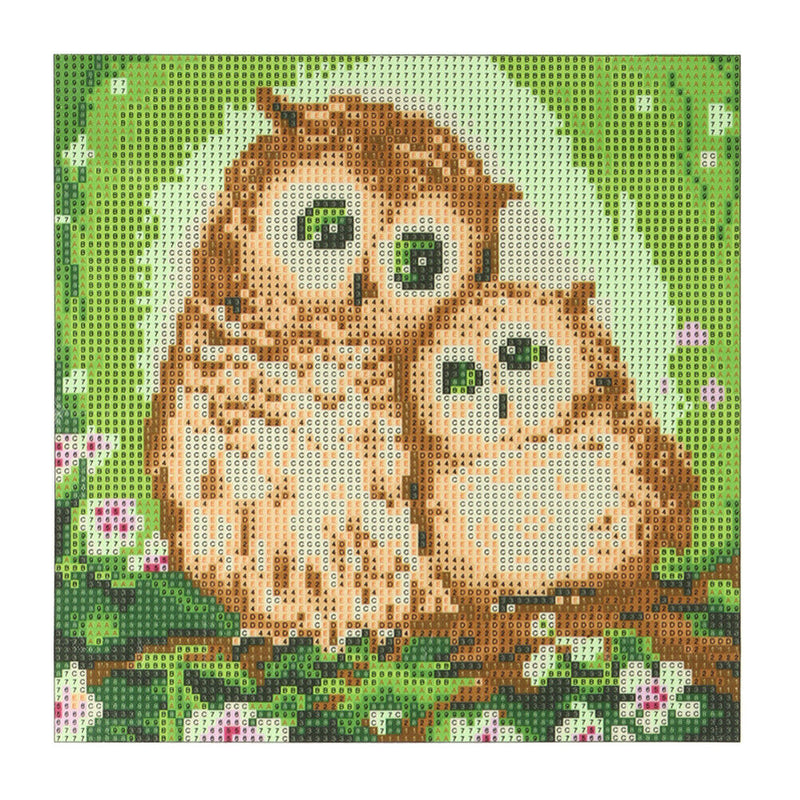 Full Drill Two Owls 5D Diamond DIY Painting Craft Kit Home Decor Newly