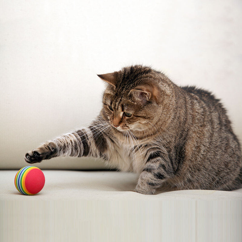 21pcs Funny Cat Toys Combination Set Feather Teaser Tunnel Interactive Playing