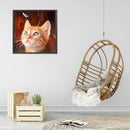 Diamond Painting 5D Cat Plays Butterfly DIY Full Round Drill Decoration Han