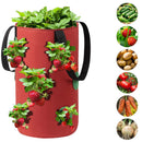 Felt Grow Bags Display Pockets DIY Hanging Strawberry Plant Bag (Red) Newly