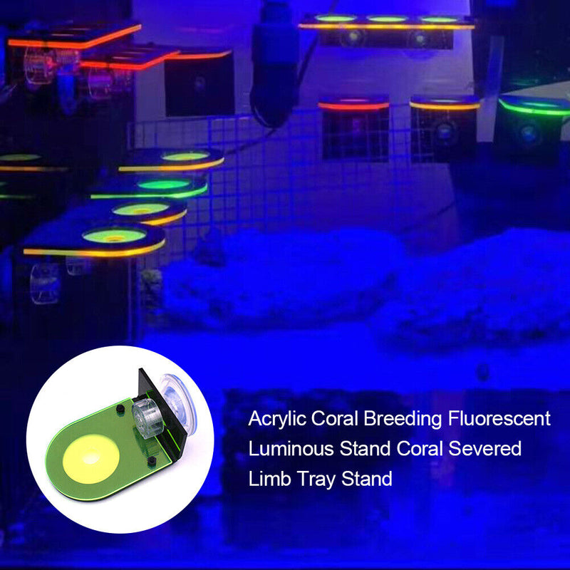 Fish Tank Coral Frag Rack Aquarium Reef with Plugs Suction Holder (Green) Newly