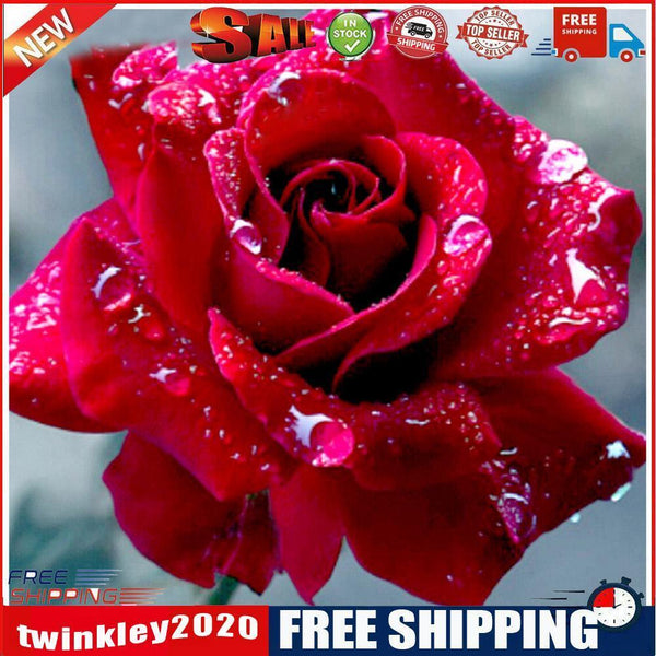 DIY Roses Diamond Painting Cross Stitch Embroidery Mosaic Kit Room Decor