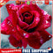 DIY Roses Diamond Painting Cross Stitch Embroidery Mosaic Kit Room Decor