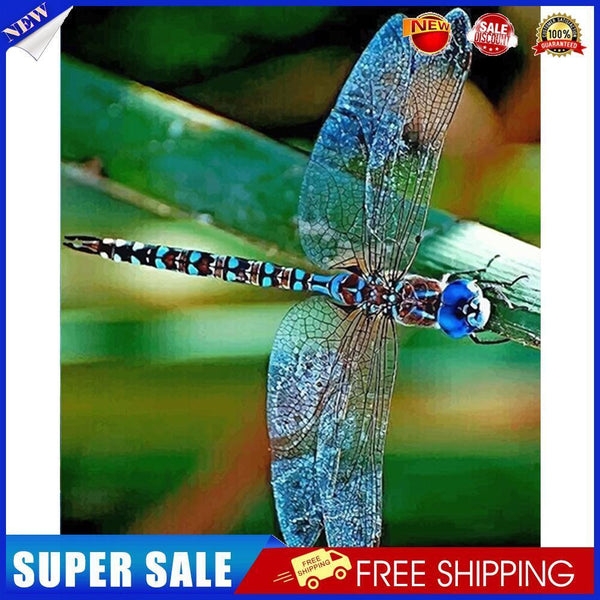 DIY Paint By Number Kit Colorful Dragonfly Animals No Frame for Home Decor