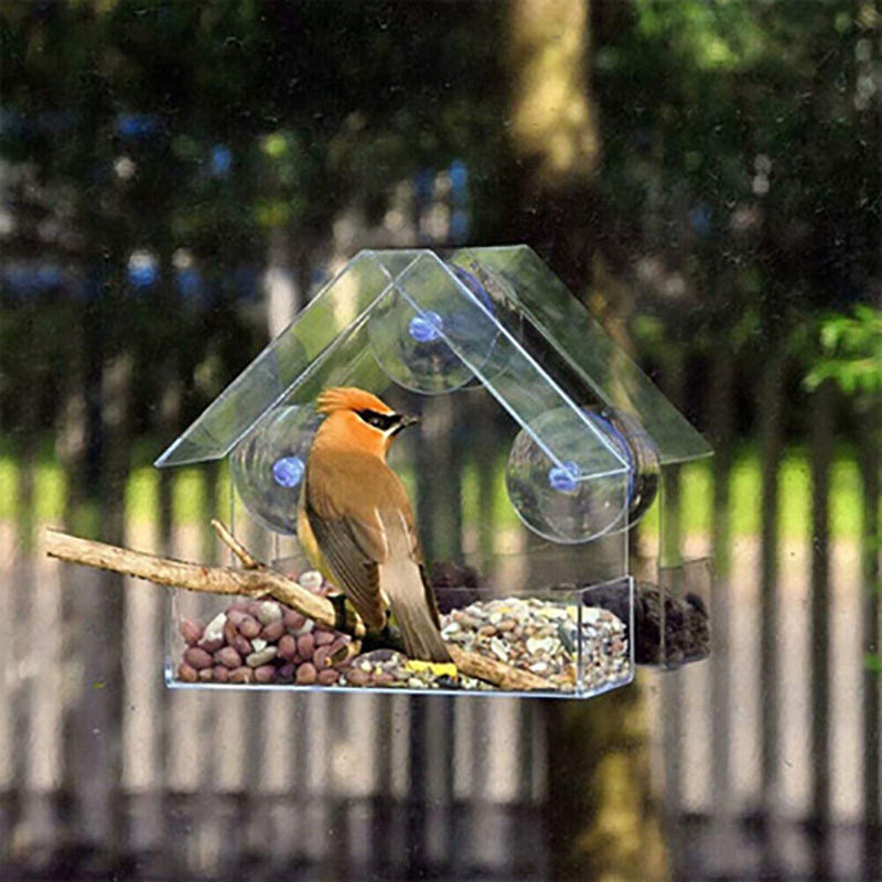 House Clear Window Viewing Bird Feeder Triangular Suction Cup Bird Feeder