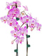 Clamping Plant Clips Gardening Tool Vine Support Bundle Orchid Stem Clip