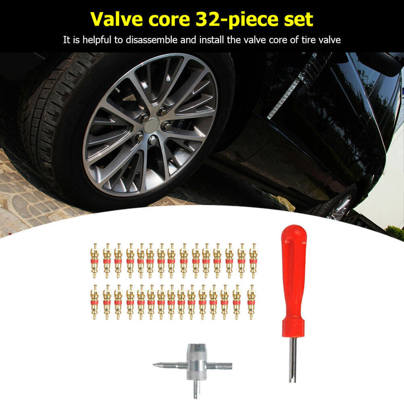 30pcs Brass Valve Cores with Car Bicycle Tire Valve Core Remover + 4 Way To