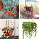 14PCS Plastic Flower Pot Chain Plant Basket Planter Holder Hanging Balcony Decor