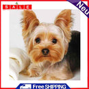 5D Diamond Painting Kit Yorkshire Terrier Full Square Drill DIY Art Craft Mosaic