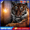 5D DIY Full Round Drill Diamond Painting Novelty Tiger Cross Stitch (B1105)