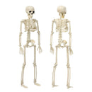 Party Decoration DIY Hanging Scary Props Halloween Human Skeleton Poseable Size