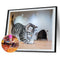 #A Diamond Drawing 5D Full Round Drill Mosaic DIY Cat Series Kit Artwork Home