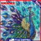 5D DIY Special Shaped Diamond Painting Peafowl Embroidery Mosaic Kits Home Decor