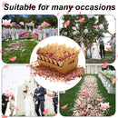Party Confetti Cone Holder Box - Wedding Confetti Dried Flower Petals Box Holder