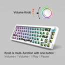 68 Keys RGB 60 Percent NKRO DIY Mechanical Hotswap Keyboard Kits (White)