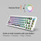 68 Keys RGB 60 Percent NKRO DIY Mechanical Hotswap Keyboard Kits (White)