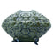 Simulation Crocodile Head 2.4G RC Boat Remote Control Electric Toys#