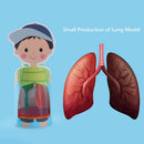 Creative Funny Teaching Aids Scientific Production Toys for Educational Toys