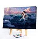 Chasing Sea Girl Oil Paint By Numbers Kit DIY Acrylic Painting Wall Art Pic