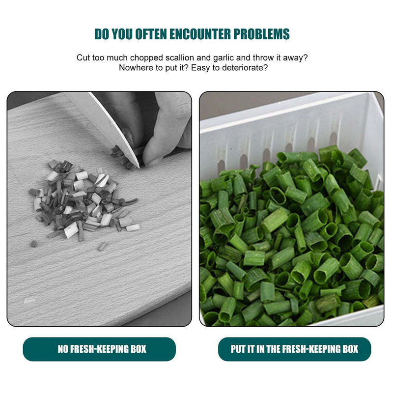 Food Storage - Fridge Divided Container to Storing Chopped Green Onion Garlic